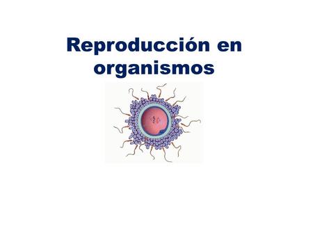 Reproducción en organismos