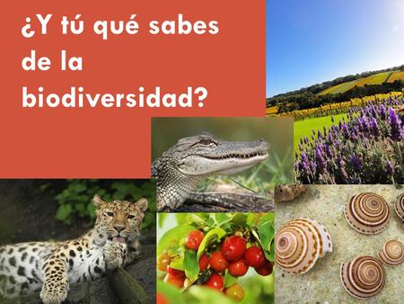 ¿Y tú qué sabes de la biodiversidad?