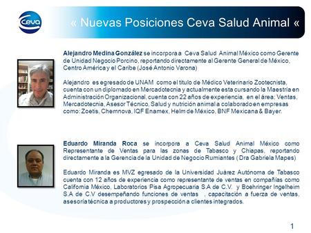 « Nuevas Posiciones Ceva Salud Animal «