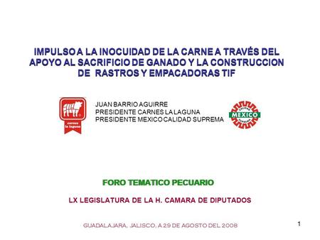 1 FORO TEMATICO PECUARIO LX LEGISLATURA DE LA H. CAMARA DE DIPUTADOS GUADALAJARA, JALISCO, A 29 DE AGOSTO DEL 2008 IMPULSO A LA INOCUIDAD DE LA CARNE A.
