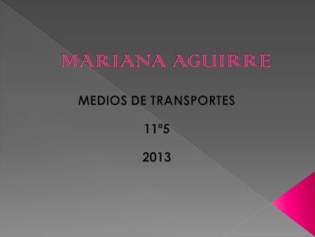 MEDIOS DE TRANSPORTES 11ª5 2013