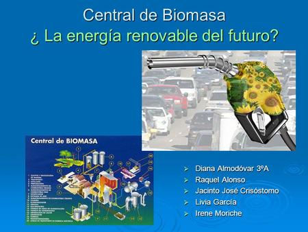 Central de Biomasa ¿ La energía renovable del futuro?