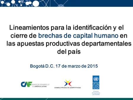 Lineamientos para la identificación y el cierre de brechas de capital humano en las apuestas productivas departamentales del país Bogotá D.C. 17 de marzo.