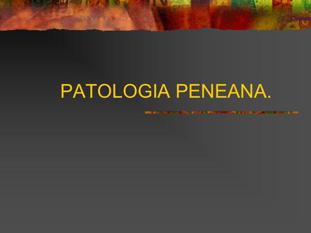 PATOLOGIA PENEANA..