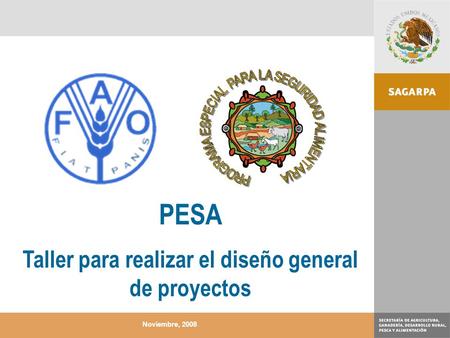 Noviembre, 2008 PESA Taller para realizar el diseño general de proyectos.