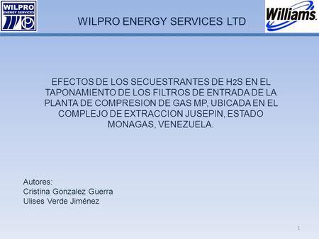 WILPRO ENERGY SERVICES LTD