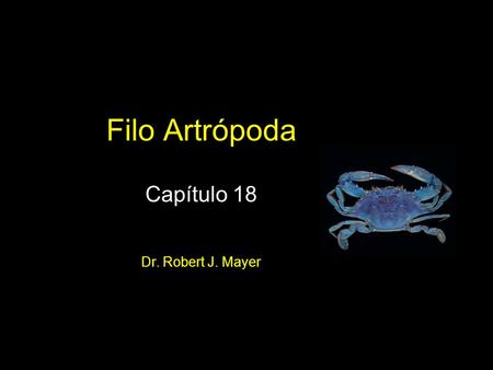 Filo Artrópoda Capítulo 18