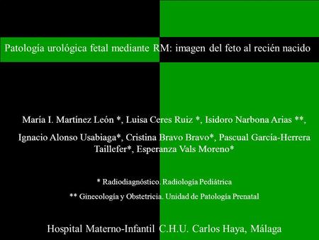 Hospital Materno-Infantil C.H.U. Carlos Haya, Málaga