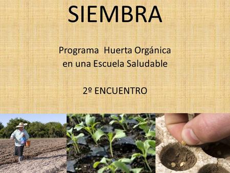 SIEMBRA Programa Huerta Orgánica en una Escuela Saludable 2º ENCUENTRO.