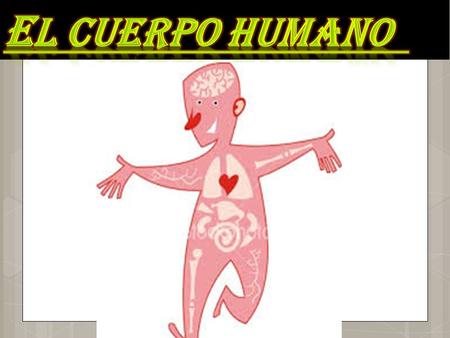 ¿ Que es el cuerpo humano ? El cuerpo humano es la estructura física y material del ser humano. Un adulto tiene 206 huesos.