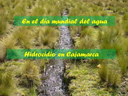 Hidrocidio en Cajamarca En el día mundial del agua.