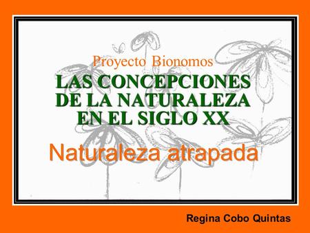 Proyecto Bionomos LAS CONCEPCIONES DE LA NATURALEZA EN EL SIGLO XX
