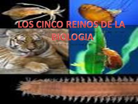 LOS CINCO REINOS DE LA BIOLOGIA.