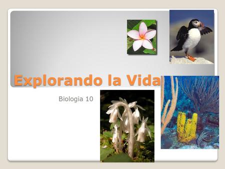 Explorando la Vida Biologia 10.