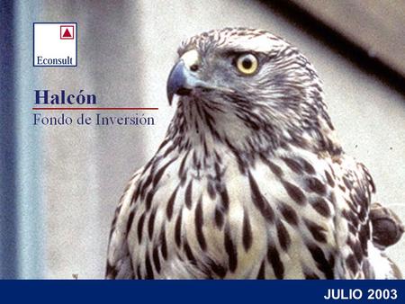 JULIO 2003. 2 Fondo de Inversión Halcón Nació como una necesidad de inversionistas privados: –Interés de participar en la mediana empresa por su nivel.