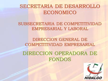 SECRETARIA DE DESARROLLO ECONOMICO SUBSECRETARIA DE COMPETITIVIDAD EMPRESARIAL Y LABORAL DIRECCION GENERAL DE COMPETITIVIDAD EMPRESARIAL DIRECCION OPERADORA.