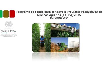 Programa de Fondo para el Apoyo a Proyectos Productivos en Núcleos Agrarios (FAPPA) 2015 DOF 28 DIC 2014.