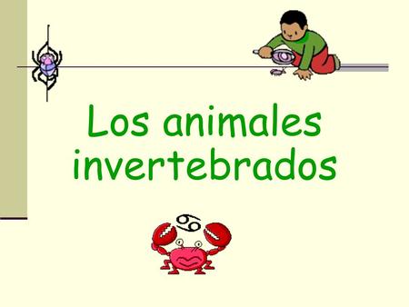 Los animales invertebrados