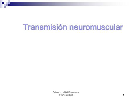 Transmisión neuromuscular