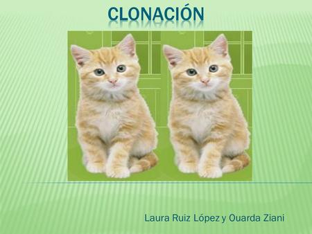 Resultado de imagen para CLONACION