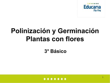 Polinización y Germinación Plantas con flores