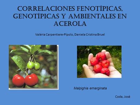 Correlaciones Fenotípicas, Genotípicas y Ambientales en Acerola