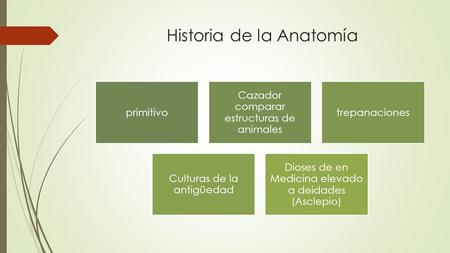 Historia de la Anatomía