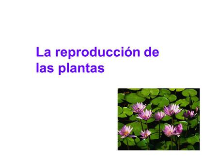 La reproducción de las plantas