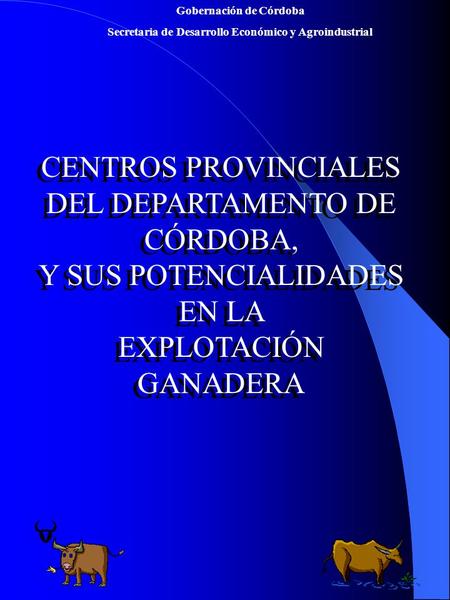 Gobernación de Córdoba Secretaria de Desarrollo Económico y Agroindustrial CENTROS PROVINCIALES DEL DEPARTAMENTO DE CÓRDOBA, Y SUS POTENCIALIDADES EN LA.