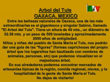 Arbol del Tule OAXACA, MEXICO Entre las bellezas naturales de Oaxaca, una de las más extraordinarias es el gigantesco y singular Sabino, llamado El Arbol.
