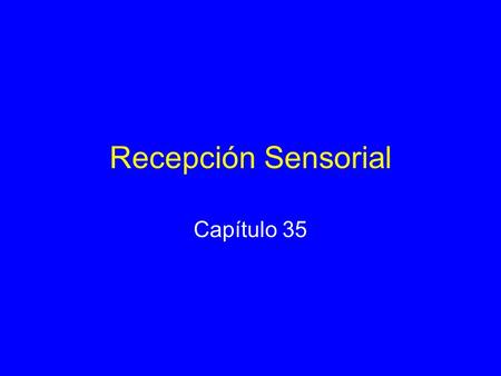 Recepción Sensorial Capítulo 35.