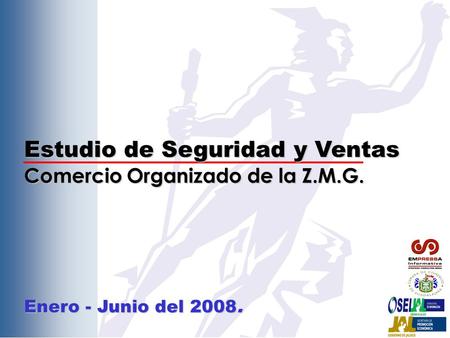 Estudio de Seguridad y Ventas Comercio Organizado de la Z.M.G. Enero - Junio del 2008.