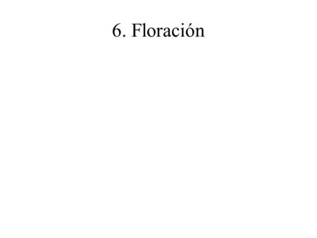 6. Floración.