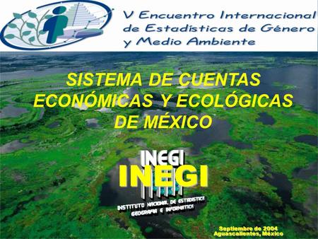 SISTEMA DE CUENTAS ECONÓMICAS Y ECOLÓGICAS DE MÉXICO INEGI Septiembre de 2004 Aguascalientes, México.