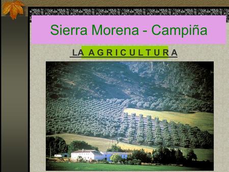 Sierra Morena - Campiña LA A G R I C U L T U R A.