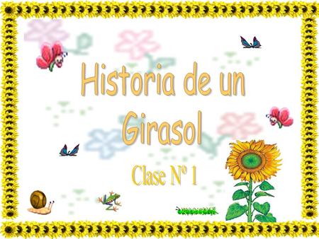 Historia de un Girasol Clase Nº 1.