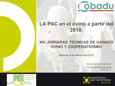 LA PAC en el ovino a partir del 2010. XIV JORNADAS TECNICAS DE GANADO OVINO Y COOPERATIVISMO Zamora, 8 de Marzo de 2.010 David Llorente Cachorro Técnico.