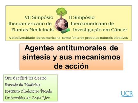 Agentes antitumorales de síntesis y sus mecanismos de acción