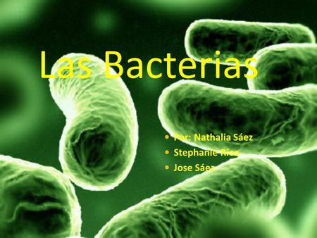 Las Bacterias Por: Nathalia Sáez Stephanie Ríos Jose Sáez.