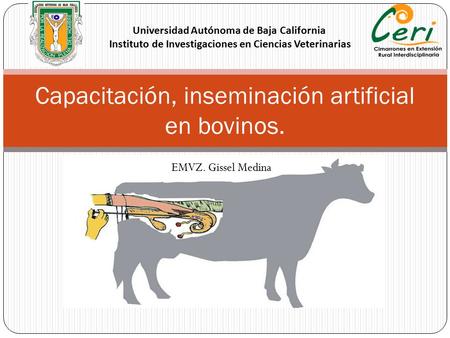 Capacitación, inseminación artificial en bovinos.