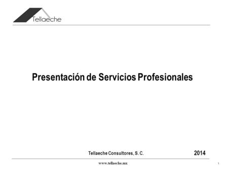 Presentación de Servicios Profesionales