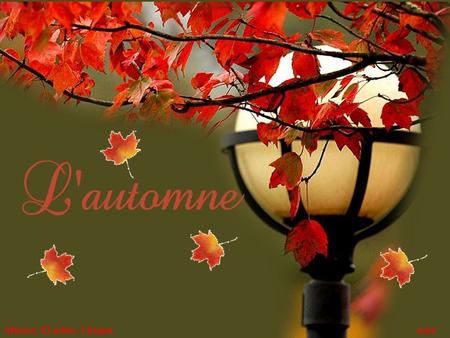 Música: El adiós, ChopinAuto El otoño es un caminante melancólico y gracioso que prepara admirablemente el solemne adagio del invierno. (George Sand)