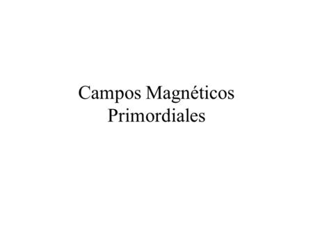 Campos Magnéticos Primordiales