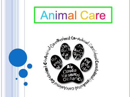 Animal Care Creo que si utilizan solo el fondo blanco sin las rayas y burbujas azules se ve mejor su presentación.