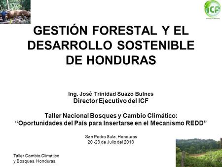 GESTIÓN FORESTAL Y EL DESARROLLO SOSTENIBLE DE HONDURAS