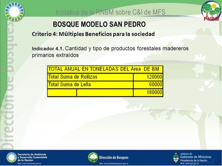 Iniciativa de la RNBM sobre C&I de MFS Criterio 4: M ú ltiples Beneficios para la sociedad Indicador 4.1. Cantidad y tipo de productos forestales madereros.