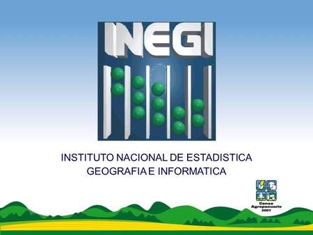 INSTITUTO NACIONAL DE ESTADISTICA GEOGRAFIA E INFORMATICA