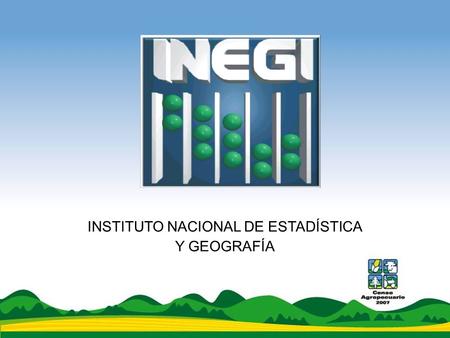 INSTITUTO NACIONAL DE ESTADÍSTICA Y GEOGRAFÍA. El INEGI llevó a cabo durante el año 2007 el levantamiento del Censo Agropecuario que comprende:  VIII.