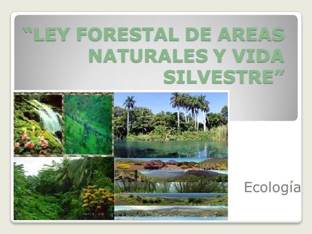 “LEY FORESTAL DE AREAS NATURALES Y VIDA SILVESTRE”