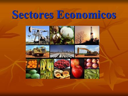 Sectores Economicos.